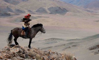 Eagle Hunter Photograpy Adventure with Whistling Arrow Mongolia Photographic Expedition 2018 |Whistling Arrow