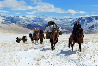 Mongolia Photographic Expedition 2018 | Whistling Arrow