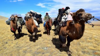Altai expeditionary trekking with Whistling Arrow Mongolia Trekking Expedition | Whistling Arrow