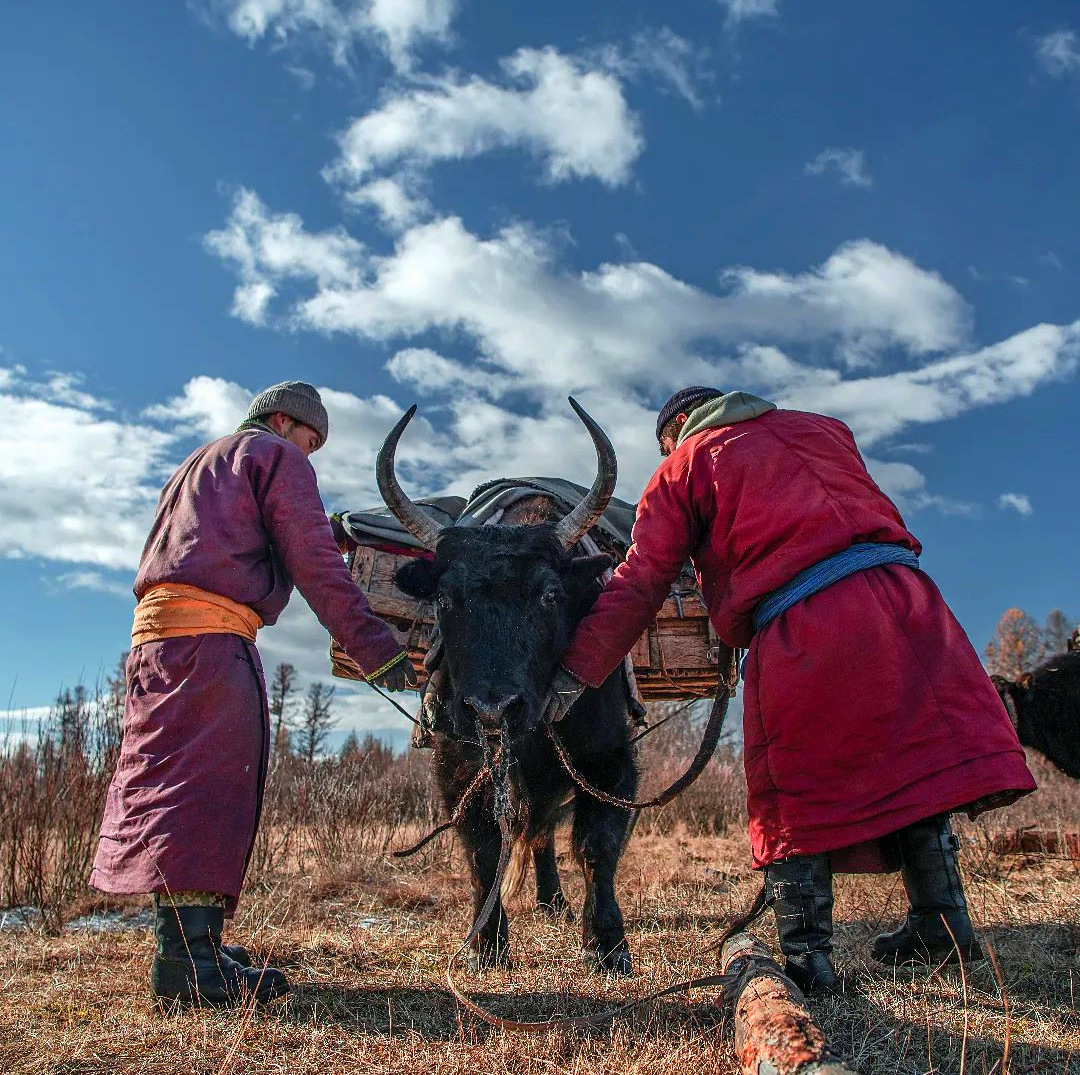 Nomadic migration | Mongolia | Whistling Arrow
