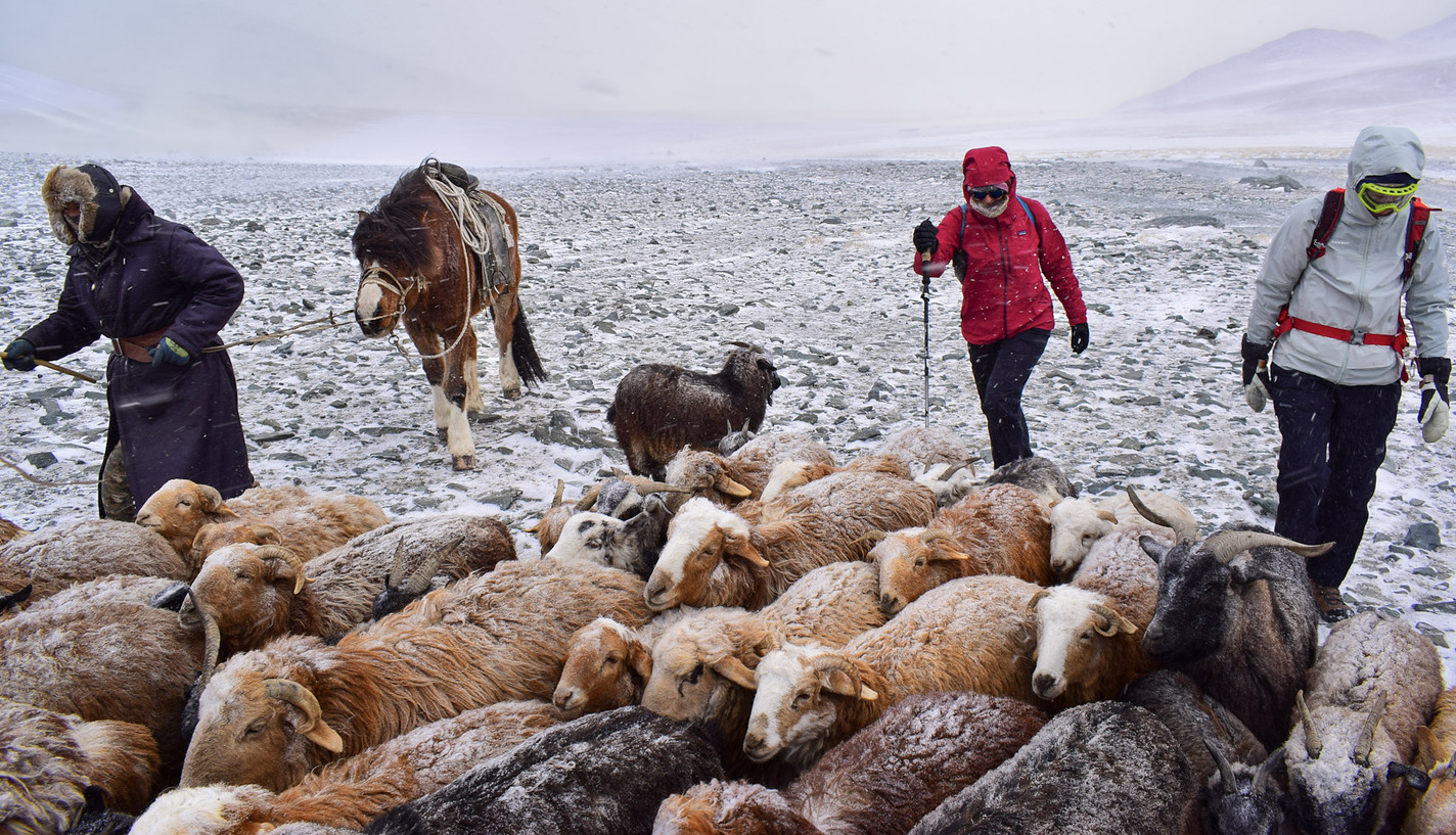 Mongolia Migration Expedition | Whistling Arrow