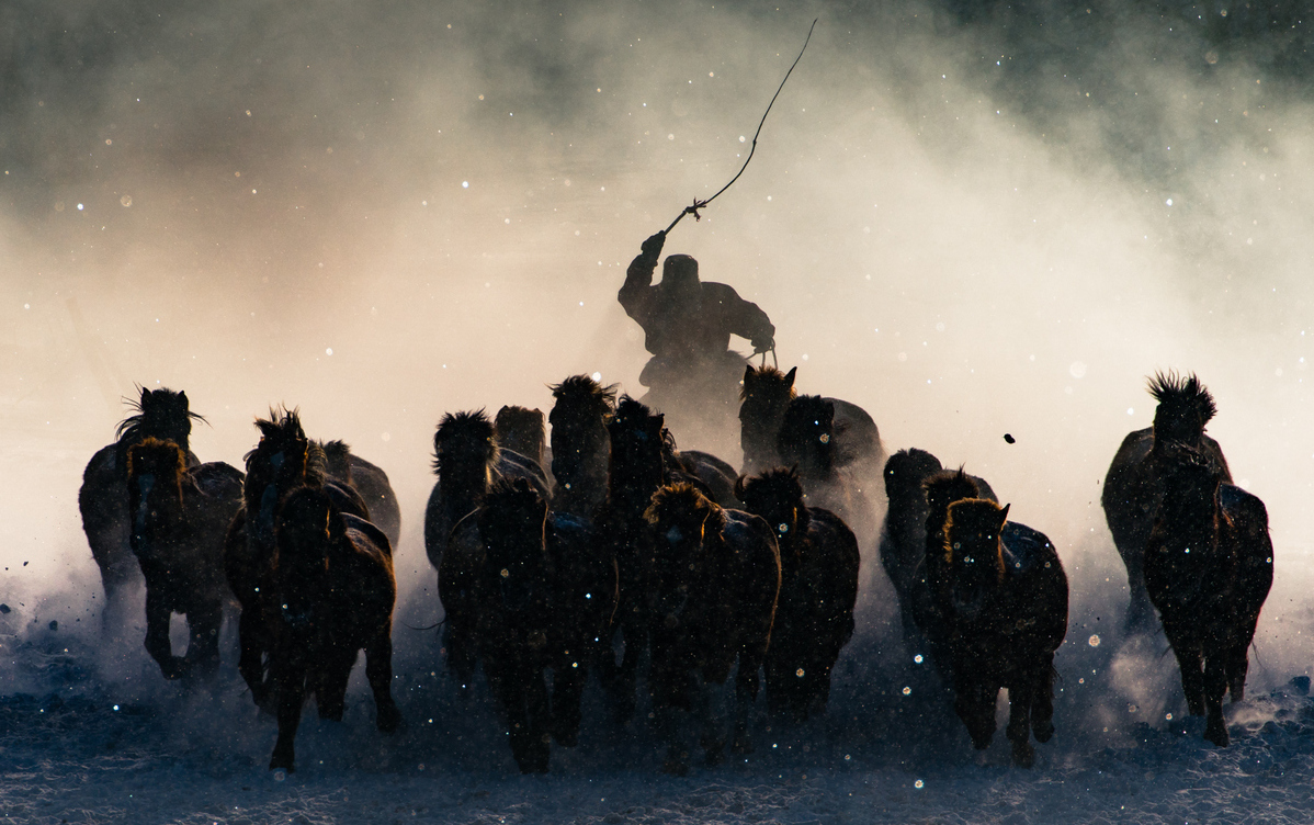 Photography Adventures | Mongolia