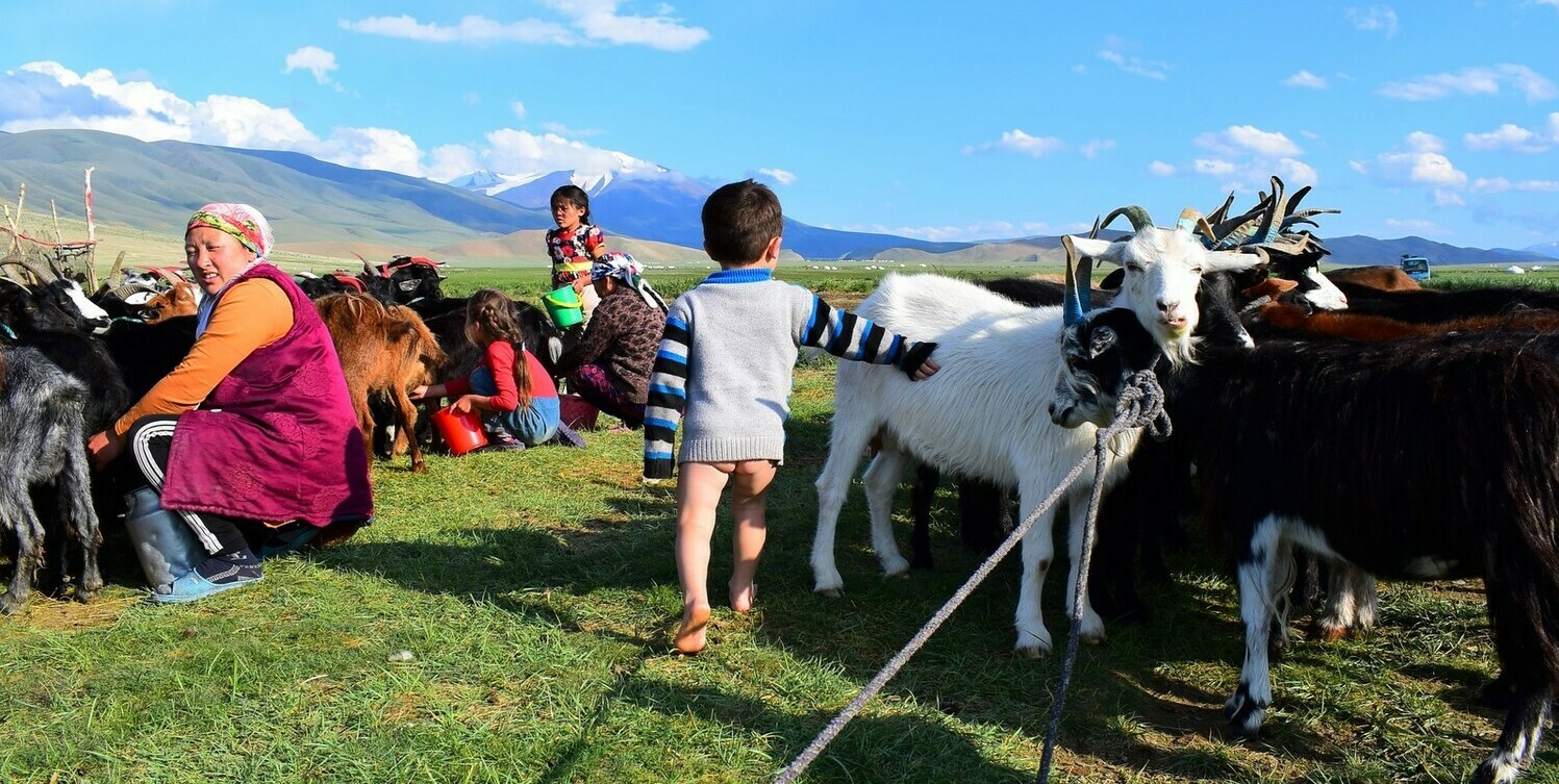 Nomadic Family Adventures Mongolia