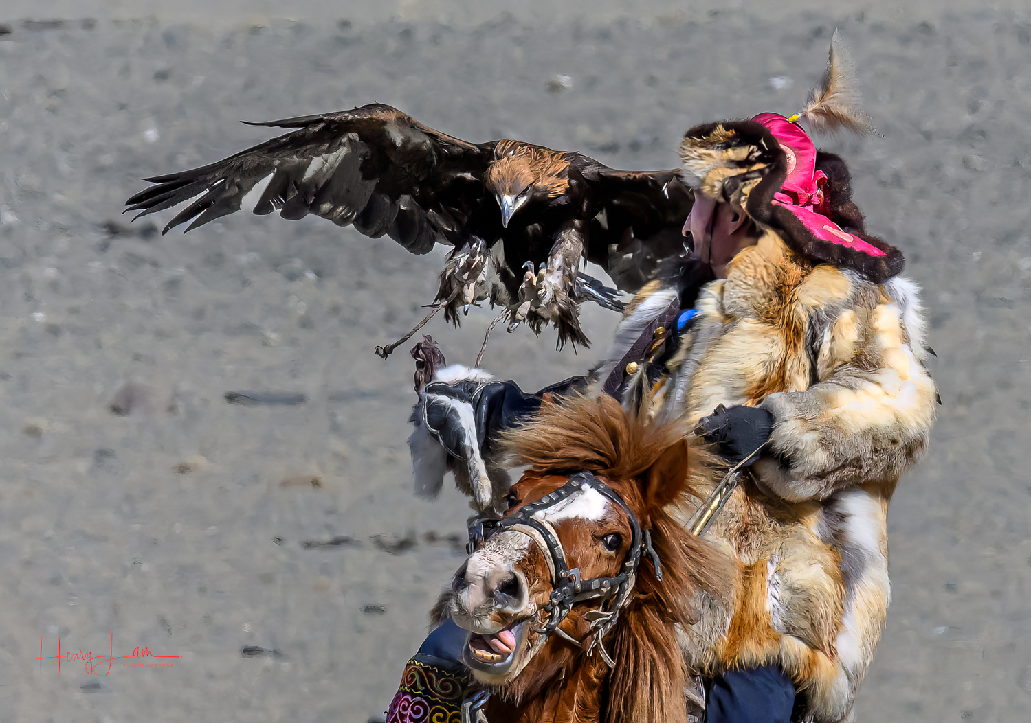 Eagle Hunter Photography Adventure | Mongolia