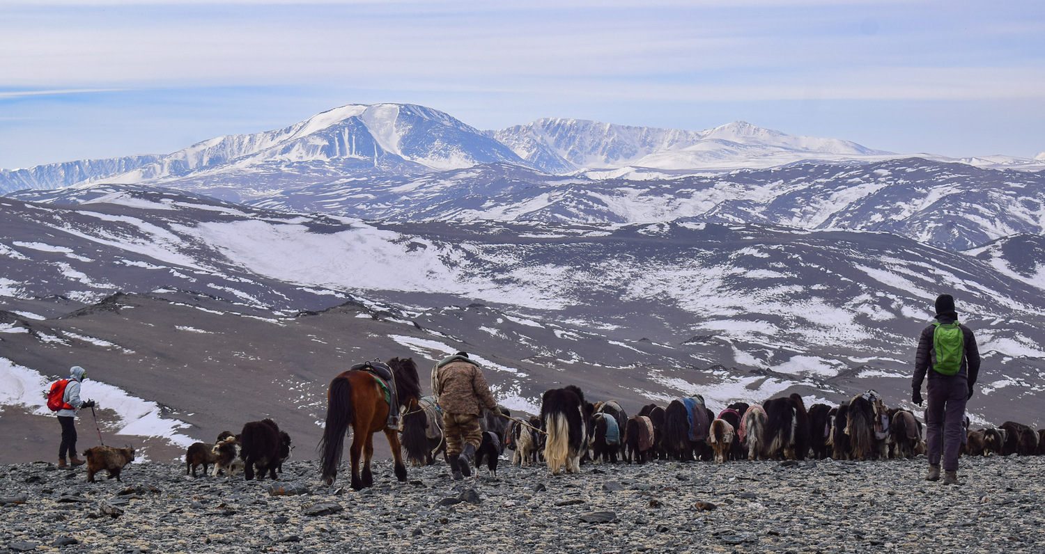 Nomadic Migration Trek | Mongolia |March 2027