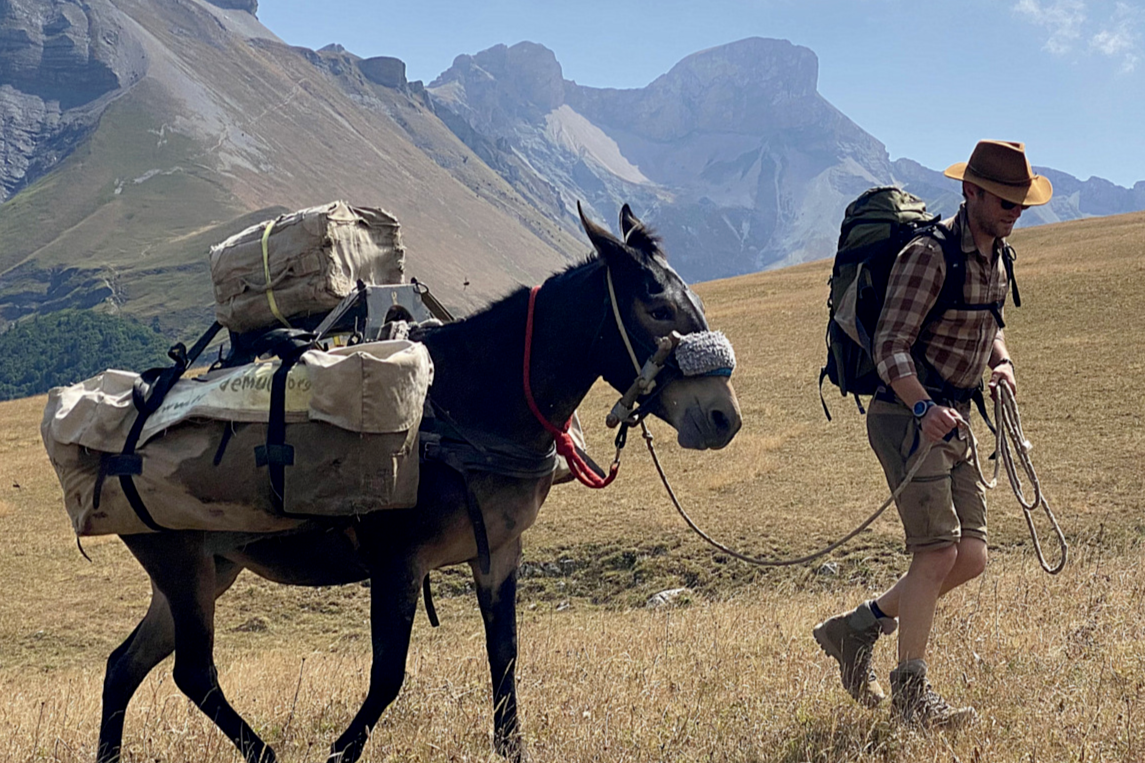 Trekking With Mules | Haute-Alpes | Whistling Arrow