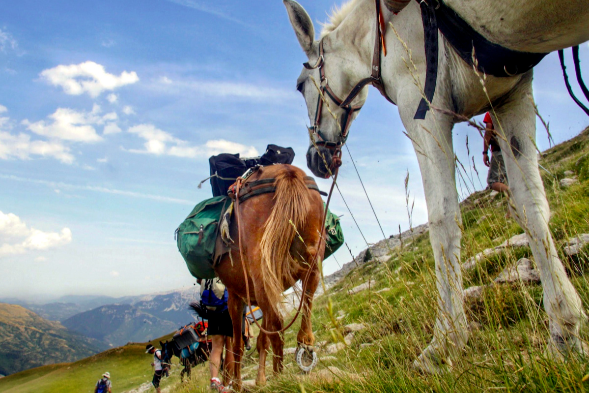 Trekking With Mules | Pyrenees | Whistling Arrow