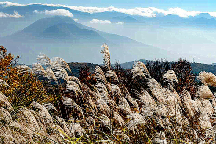 Mountain Hiking In Japan | Whistling Arrow